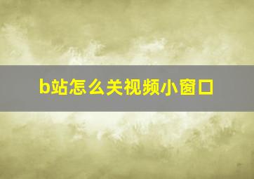 b站怎么关视频小窗口