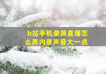 b站手机录屏直播怎么弄内录声音大一点