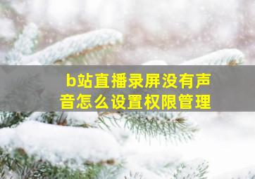 b站直播录屏没有声音怎么设置权限管理