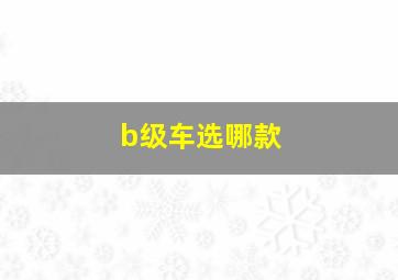 b级车选哪款