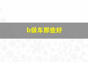 b级车那些好