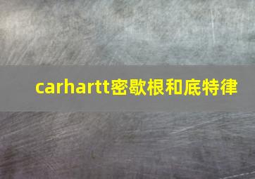 carhartt密歇根和底特律