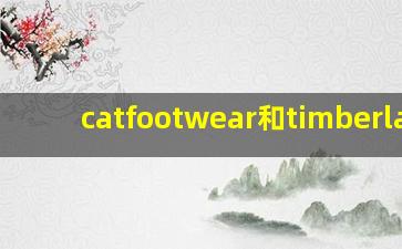 catfootwear和timberland