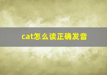 cat怎么读正确发音