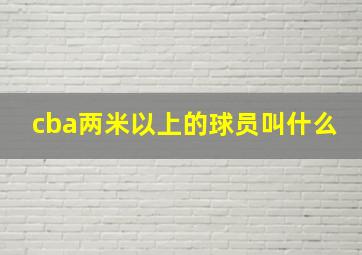 cba两米以上的球员叫什么