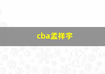 cba孟祥宇