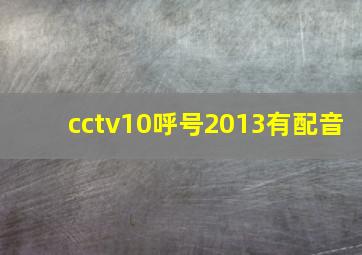 cctv10呼号2013有配音