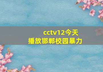 cctv12今天播放邯郸校园暴力