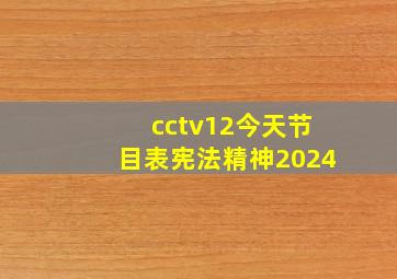 cctv12今天节目表宪法精神2024