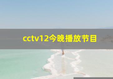 cctv12今晚播放节目