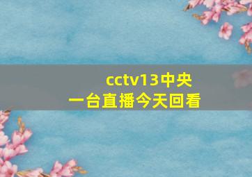 cctv13中央一台直播今天回看