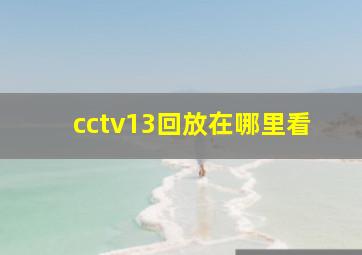 cctv13回放在哪里看