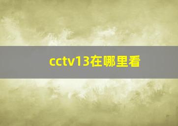 cctv13在哪里看