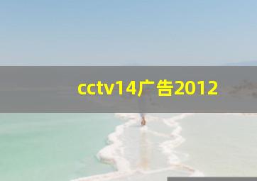 cctv14广告2012