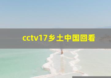 cctv17乡土中国回看