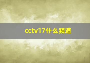 cctv17什么频道