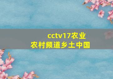 cctv17农业农村频道乡土中国