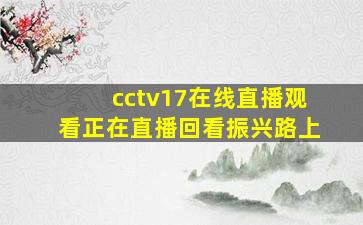 cctv17在线直播观看正在直播回看振兴路上