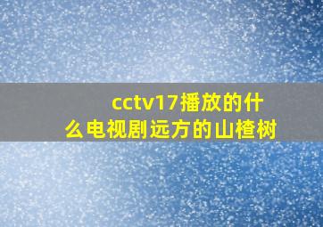 cctv17播放的什么电视剧远方的山楂树