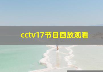 cctv17节目回放观看