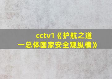 cctv1《护航之道一总体国家安全观纵横》