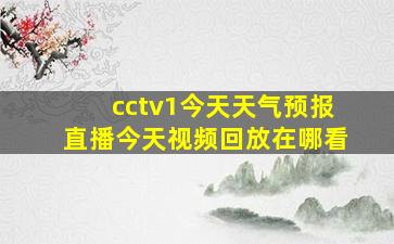 cctv1今天天气预报直播今天视频回放在哪看