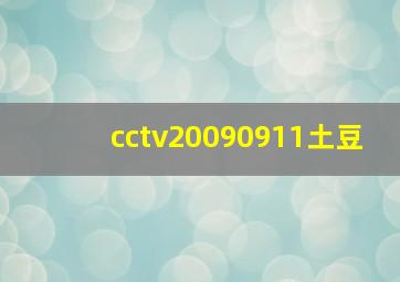 cctv20090911土豆