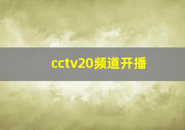 cctv20频道开播