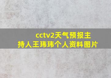 cctv2天气预报主持人王玮玮个人资料图片