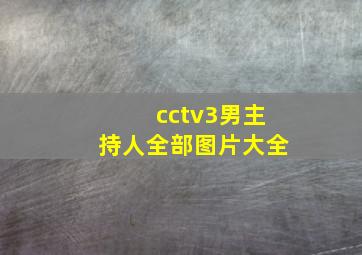 cctv3男主持人全部图片大全