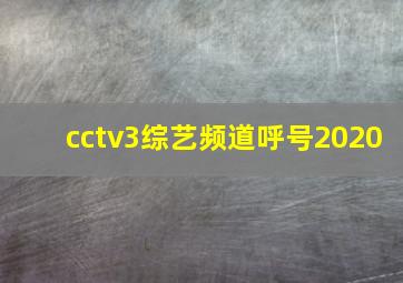 cctv3综艺频道呼号2020