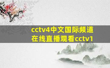 cctv4中文国际频道在线直播观看cctv1