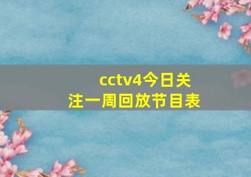 cctv4今日关注一周回放节目表