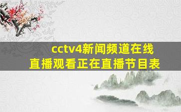 cctv4新闻频道在线直播观看正在直播节目表