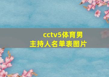 cctv5体育男主持人名单表图片