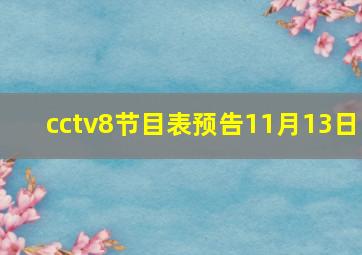 cctv8节目表预告11月13日