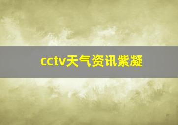 cctv天气资讯紫凝