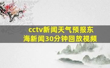 cctv新闻天气预报东海新闻30分钟回放视频