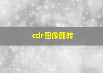 cdr图像翻转