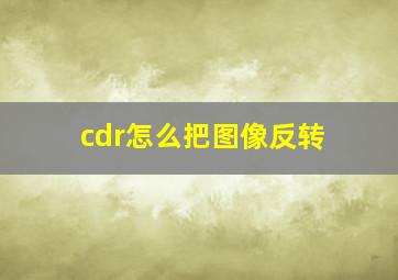 cdr怎么把图像反转