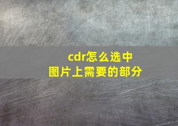 cdr怎么选中图片上需要的部分