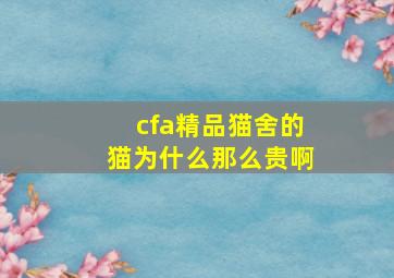 cfa精品猫舍的猫为什么那么贵啊