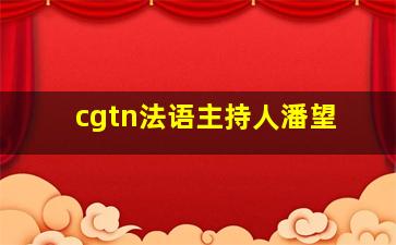 cgtn法语主持人潘望