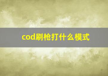 cod刷枪打什么模式