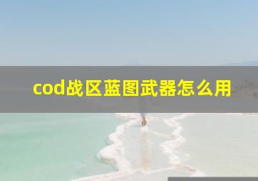 cod战区蓝图武器怎么用