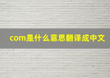 com是什么意思翻译成中文