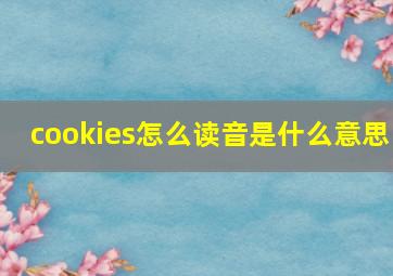 cookies怎么读音是什么意思