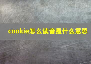 cookie怎么读音是什么意思