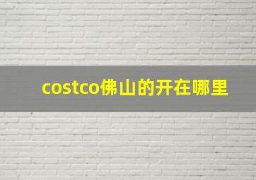 costco佛山的开在哪里