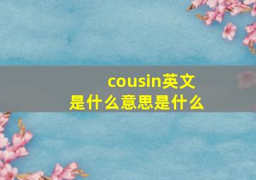 cousin英文是什么意思是什么